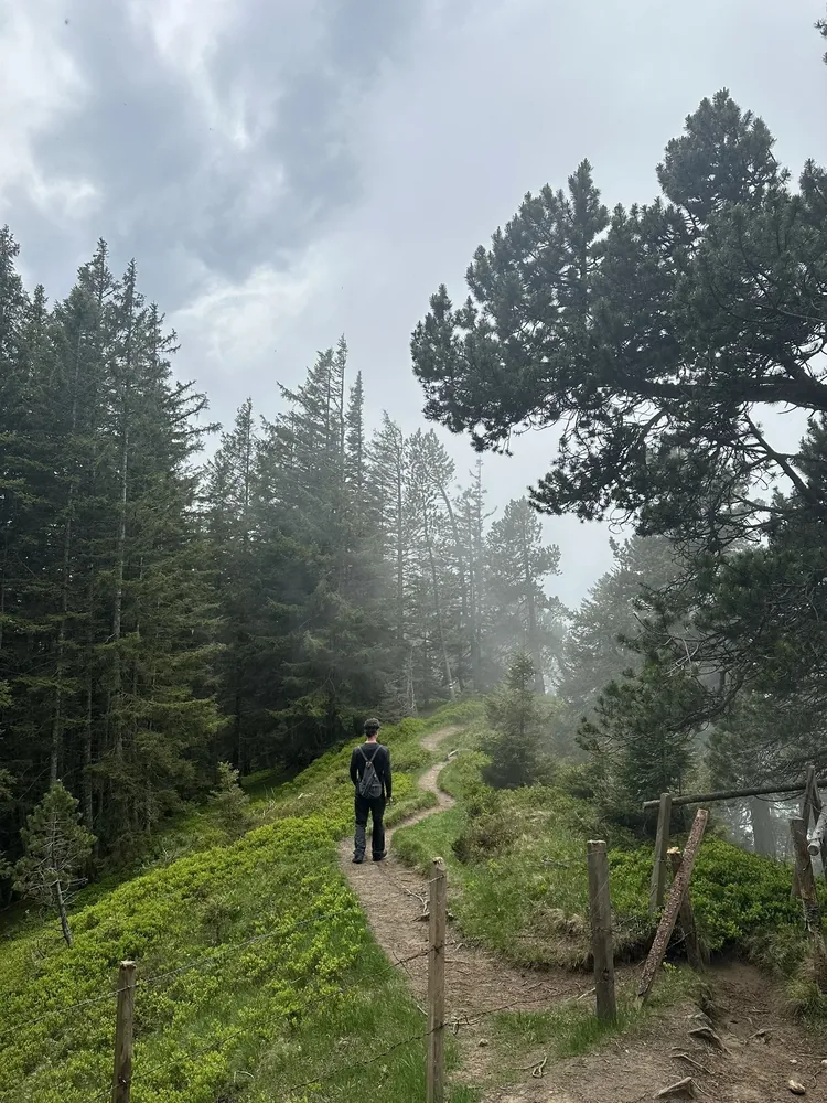 Panoramic Trails Around Beatenberg