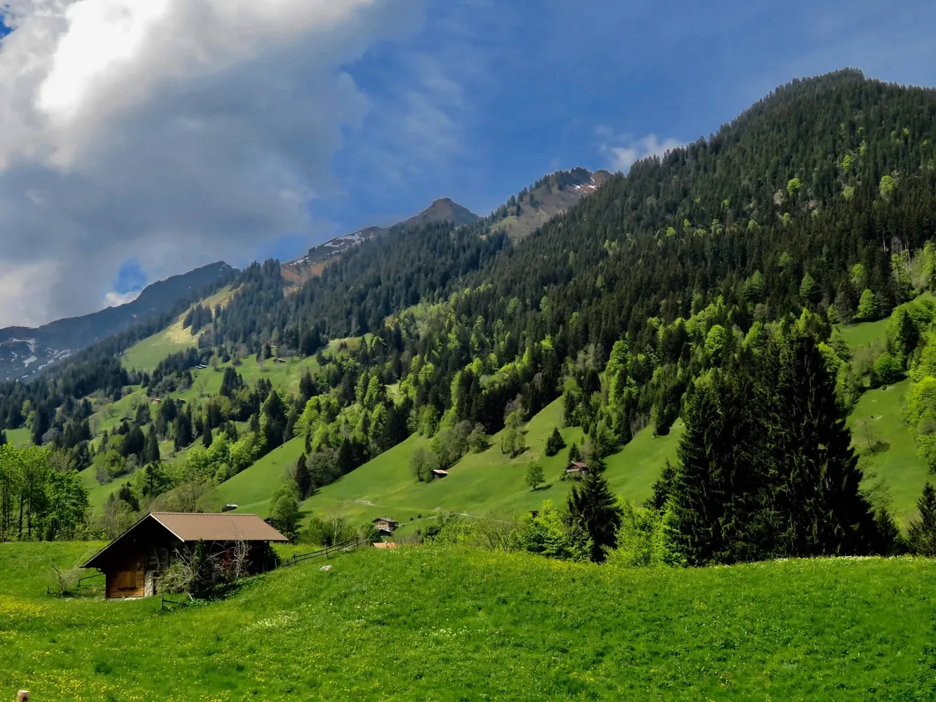 Saxeten Village
